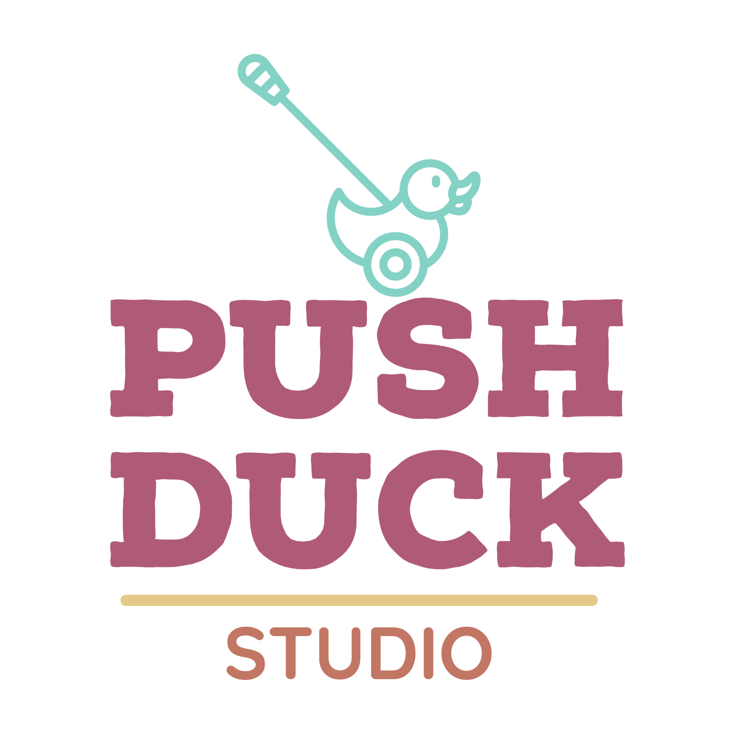 the push duck logo